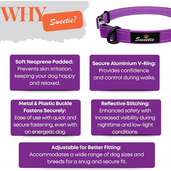 Strong Dog Collar Medium Dogs - Orange Reflective Padded Dog Collars - Adjustable - Safety Metal Buckle, Aluminium V-Ring Strong Dog Collar Medium Dogs - Orange Reflective Padded Dog Collars - Adjustable - Safety Metal Buckle, Aluminium V-Ring