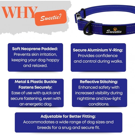 Strong Dog Collar Medium Dogs - Orange Reflective Padded Dog Collars - Adjustable - Safety Metal Buckle, Aluminium V-Ring Strong Dog Collar Medium Dogs - Orange Reflective Padded Dog Collars - Adjustable - Safety Metal Buckle, Aluminium V-Ring