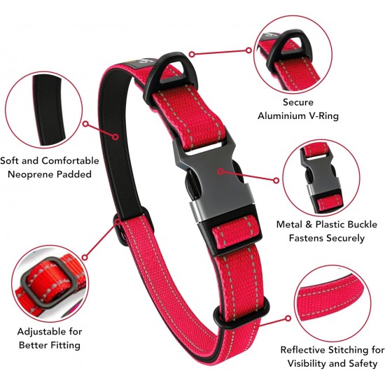 Strong Dog Collar Medium Dogs - Orange Reflective Padded Dog Collars - Adjustable - Safety Metal Buckle, Aluminium V-Ring Strong Dog Collar Medium Dogs - Orange Reflective Padded Dog Collars - Adjustable - Safety Metal Buckle, Aluminium V-Ring