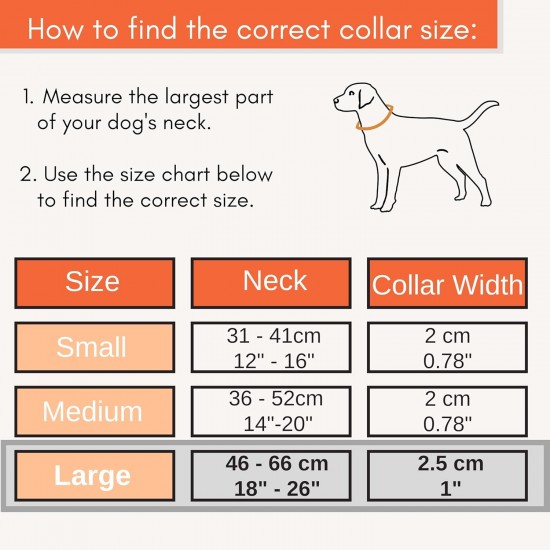 Strong Dog Collar Medium Dogs - Orange Reflective Padded Dog Collars - Adjustable - Safety Metal Buckle, Aluminium V-Ring Strong Dog Collar Medium Dogs - Orange Reflective Padded Dog Collars - Adjustable - Safety Metal Buckle, Aluminium V-Ring
