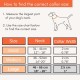 Strong Dog Collar Medium Dogs - Orange Reflective Padded Dog Collars - Adjustable - Safety Metal Buckle, Aluminium V-Ring Strong Dog Collar Medium Dogs - Orange Reflective Padded Dog Collars - Adjustable - Safety Metal Buckle, Aluminium V-Ring