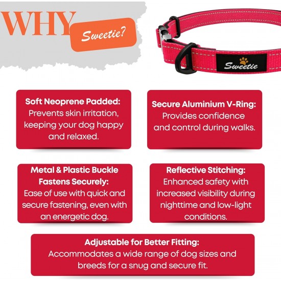Strong Dog Collar Medium Dogs - Orange Reflective Padded Dog Collars - Adjustable - Safety Metal Buckle, Aluminium V-Ring Strong Dog Collar Medium Dogs - Orange Reflective Padded Dog Collars - Adjustable - Safety Metal Buckle, Aluminium V-Ring