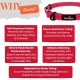 Strong Dog Collar Medium Dogs - Orange Reflective Padded Dog Collars - Adjustable - Safety Metal Buckle, Aluminium V-Ring Strong Dog Collar Medium Dogs - Orange Reflective Padded Dog Collars - Adjustable - Safety Metal Buckle, Aluminium V-Ring