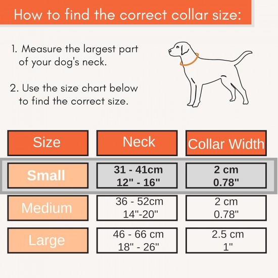 Strong Dog Collar Medium Dogs - Orange Reflective Padded Dog Collars - Adjustable - Safety Metal Buckle, Aluminium V-Ring Strong Dog Collar Medium Dogs - Orange Reflective Padded Dog Collars - Adjustable - Safety Metal Buckle, Aluminium V-Ring