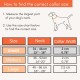 Strong Dog Collar Medium Dogs - Orange Reflective Padded Dog Collars - Adjustable - Safety Metal Buckle, Aluminium V-Ring Strong Dog Collar Medium Dogs - Orange Reflective Padded Dog Collars - Adjustable - Safety Metal Buckle, Aluminium V-Ring