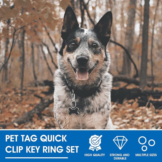 TIESOME Dog Tag Clips with Rings, Pack of 6 Dog Tags Clips 18 Pieces Brand Rings Stainless Steel Pet Tags Clip Dog Tags Holder Quick Release for Collar and Harness 1.3 x 0.6 Inches TIESOME Dog Tag Clips with Rings, Pack of 6 Dog Tags Clips 18 Pieces Brand Rings Stainless Steel Pet Tags Clip Dog Tags Holder Quick Release for Collar and Harness 1.3 x 0.6 Inches