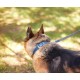TORRUNA Genuine Leather Adjustable Dog Collar for Small Large Dogs (XS: Neck 20-30cm, Black) TORRUNA Genuine Leather Adjustable Dog Collar for Small Large Dogs (XS: Neck 20-30cm, Black)