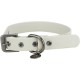 TRIXIE CityStyle 1971416 Dog Collar S-M: Neck Circumference 30-37 cm/20 mm Light Grey - High-Quality PVC Collar for Small - Medium Dogs, Adjustable, Water-Repellent and Wipe-Clean