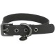 TRIXIE CityStyle 1971416 Dog Collar S-M: Neck Circumference 30-37 cm/20 mm Light Grey - High-Quality PVC Collar for Small - Medium Dogs, Adjustable, Water-Repellent and Wipe-Clean