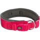 TRIXIE Premium Collar Size L-XL, Neck Circumference 53-62 cm/50 mm in Black - Fully Adjustable Dog Collar for Medium to Large Dogs, Neoprene Padded - 1995901 TRIXIE Premium Collar Size L-XL, Neck Circumference 53-62 cm/50 mm in Black - Fully Adjustable Dog Collar for Medium to Large Dogs, Neoprene Padded - 1995901