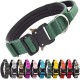 TSPRO Premium Dog Collar with Handle, Thick, Adjustable, Tactical Dog Collar, Heavy-Duty Design, Quick-Release Metal Buckle, for Medium to Large Dogs, M, Green TSPRO Premium Dog Collar with Handle, Thick, Adjustable, Tactical Dog Collar, Heavy-Duty Design, Quick-Release Metal Buckle, for Medium to Large Dogs, M, Green