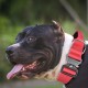 TSPRO Premium Dog Collar with Handle, Thick, Adjustable, Tactical Dog Collar, Heavy-Duty Design, Quick-Release Metal Buckle, for Medium to Large Dogs, M, Green TSPRO Premium Dog Collar with Handle, Thick, Adjustable, Tactical Dog Collar, Heavy-Duty Design, Quick-Release Metal Buckle, for Medium to Large Dogs, M, Green