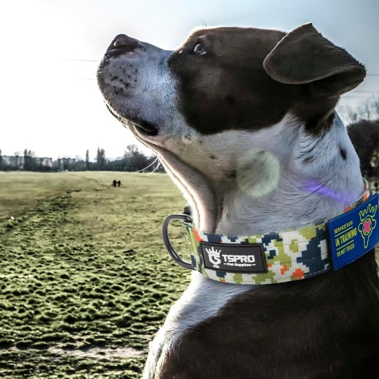 TSPRO Premium Dog Collar with Handle, Thick, Adjustable, Tactical Dog Collar, Heavy-Duty Design, Quick-Release Metal Buckle, for Medium to Large Dogs, M, Green TSPRO Premium Dog Collar with Handle, Thick, Adjustable, Tactical Dog Collar, Heavy-Duty Design, Quick-Release Metal Buckle, for Medium to Large Dogs, M, Green