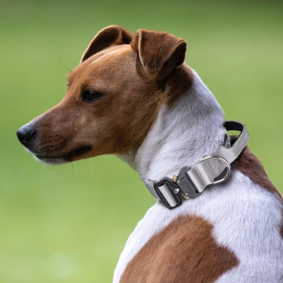 TSPRO Premium Dog Collar with Handle, Thick, Adjustable, Tactical Dog Collar, Heavy-Duty Design, Quick-Release Metal Buckle, for Medium to Large Dogs, M, Green TSPRO Premium Dog Collar with Handle, Thick, Adjustable, Tactical Dog Collar, Heavy-Duty Design, Quick-Release Metal Buckle, for Medium to Large Dogs, M, Green