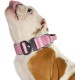 TSPRO Premium Dog Collar with Handle, Thick, Adjustable, Tactical Dog Collar, Heavy-Duty Design, Quick-Release Metal Buckle, for Medium to Large Dogs, M, Green TSPRO Premium Dog Collar with Handle, Thick, Adjustable, Tactical Dog Collar, Heavy-Duty Design, Quick-Release Metal Buckle, for Medium to Large Dogs, M, Green