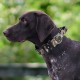 TSPRO Premium Dog Collar with Handle, Thick, Adjustable, Tactical Dog Collar, Heavy-Duty Design, Quick-Release Metal Buckle, for Medium to Large Dogs, M, Green TSPRO Premium Dog Collar with Handle, Thick, Adjustable, Tactical Dog Collar, Heavy-Duty Design, Quick-Release Metal Buckle, for Medium to Large Dogs, M, Green