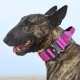 TSPRO Premium Dog Collar with Handle, Thick, Adjustable, Tactical Dog Collar, Heavy-Duty Design, Quick-Release Metal Buckle, for Medium to Large Dogs, M, Green TSPRO Premium Dog Collar with Handle, Thick, Adjustable, Tactical Dog Collar, Heavy-Duty Design, Quick-Release Metal Buckle, for Medium to Large Dogs, M, Green