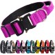 TSPRO Premium Dog Collar with Handle, Thick, Adjustable, Tactical Dog Collar, Heavy-Duty Design, Quick-Release Metal Buckle, for Medium to Large Dogs, M, Green TSPRO Premium Dog Collar with Handle, Thick, Adjustable, Tactical Dog Collar, Heavy-Duty Design, Quick-Release Metal Buckle, for Medium to Large Dogs, M, Green