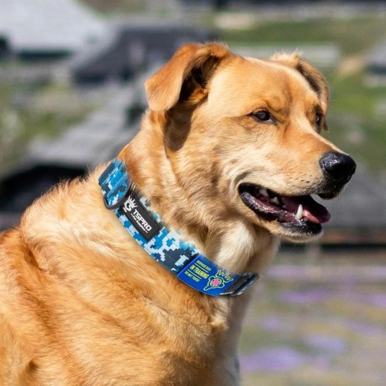 TSPRO Premium Dog Collar with Handle, Thick, Adjustable, Tactical Dog Collar, Heavy-Duty Design, Quick-Release Metal Buckle, for Medium to Large Dogs, M, Green TSPRO Premium Dog Collar with Handle, Thick, Adjustable, Tactical Dog Collar, Heavy-Duty Design, Quick-Release Metal Buckle, for Medium to Large Dogs, M, Green
