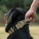 TSPRO Premium Dog Collar with Handle, Thick, Adjustable, Tactical Dog Collar, Heavy-Duty Design, Quick-Release Metal Buckle, for Medium to Large Dogs, M, Green TSPRO Premium Dog Collar with Handle, Thick, Adjustable, Tactical Dog Collar, Heavy-Duty Design, Quick-Release Metal Buckle, for Medium to Large Dogs, M, Green
