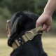 TSPRO Premium Dog Collar with Handle, Thick, Adjustable, Tactical Dog Collar, Heavy-Duty Design, Quick-Release Metal Buckle, for Medium to Large Dogs, M, Green TSPRO Premium Dog Collar with Handle, Thick, Adjustable, Tactical Dog Collar, Heavy-Duty Design, Quick-Release Metal Buckle, for Medium to Large Dogs, M, Green