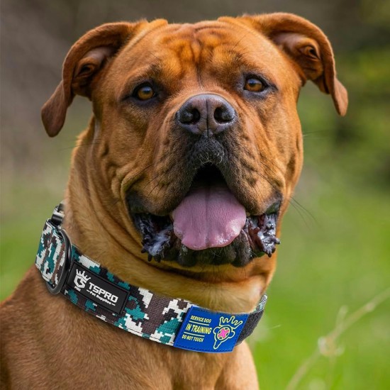 TSPRO Premium Dog Collar with Handle, Thick, Adjustable, Tactical Dog Collar, Heavy-Duty Design, Quick-Release Metal Buckle, for Medium to Large Dogs, M, Green TSPRO Premium Dog Collar with Handle, Thick, Adjustable, Tactical Dog Collar, Heavy-Duty Design, Quick-Release Metal Buckle, for Medium to Large Dogs, M, Green