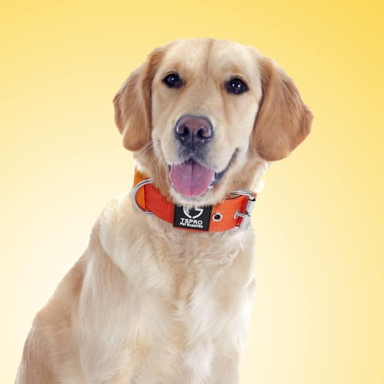 TSPRO Tactical Dog Collar, Robust Collar for Dogs with Metal Buckle Closure, 3.3 cm Wide, Adjustable and Thick for Small Dogs (Geometric S) TSPRO Tactical Dog Collar, Robust Collar for Dogs with Metal Buckle Closure, 3.3 cm Wide, Adjustable and Thick for Small Dogs (Geometric S)