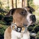 TSPRO Tactical Dog Collar, Robust Collar for Dogs with Metal Buckle Closure, 3.3 cm Wide, Adjustable and Thick for Small Dogs (Geometric S) TSPRO Tactical Dog Collar, Robust Collar for Dogs with Metal Buckle Closure, 3.3 cm Wide, Adjustable and Thick for Small Dogs (Geometric S)