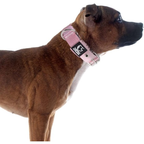 TSPRO Tactical Dog Collar, Robust Collar for Dogs with Metal Buckle Closure, 3.3 cm Wide, Adjustable and Thick for Small Dogs (Geometric S) TSPRO Tactical Dog Collar, Robust Collar for Dogs with Metal Buckle Closure, 3.3 cm Wide, Adjustable and Thick for Small Dogs (Geometric S)