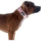 TSPRO Tactical Dog Collar, Robust Collar for Dogs with Metal Buckle Closure, 3.3 cm Wide, Adjustable and Thick for Small Dogs (Geometric S) TSPRO Tactical Dog Collar, Robust Collar for Dogs with Metal Buckle Closure, 3.3 cm Wide, Adjustable and Thick for Small Dogs (Geometric S)