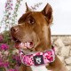 TSPRO Tactical Dog Collar, Robust Collar for Dogs with Metal Buckle Closure, 3.3 cm Wide, Adjustable and Thick for Small Dogs (Geometric S) TSPRO Tactical Dog Collar, Robust Collar for Dogs with Metal Buckle Closure, 3.3 cm Wide, Adjustable and Thick for Small Dogs (Geometric S)