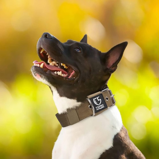 TSPRO Tactical Dog Collar, Robust Collar for Dogs with Metal Buckle Closure, 3.3 cm Wide, Adjustable and Thick for Small Dogs (Geometric S) TSPRO Tactical Dog Collar, Robust Collar for Dogs with Metal Buckle Closure, 3.3 cm Wide, Adjustable and Thick for Small Dogs (Geometric S)