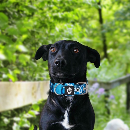 TSPRO Tactical Dog Collar, Robust Collar for Dogs with Metal Buckle Closure, 3.3 cm Wide, Adjustable and Thick for Small Dogs (Geometric S) TSPRO Tactical Dog Collar, Robust Collar for Dogs with Metal Buckle Closure, 3.3 cm Wide, Adjustable and Thick for Small Dogs (Geometric S)