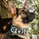 TSPRO Tactical Dog Collar, Robust Collar for Dogs with Metal Buckle Closure, 3.3 cm Wide, Adjustable and Thick for Small Dogs (Geometric S) TSPRO Tactical Dog Collar, Robust Collar for Dogs with Metal Buckle Closure, 3.3 cm Wide, Adjustable and Thick for Small Dogs (Geometric S)