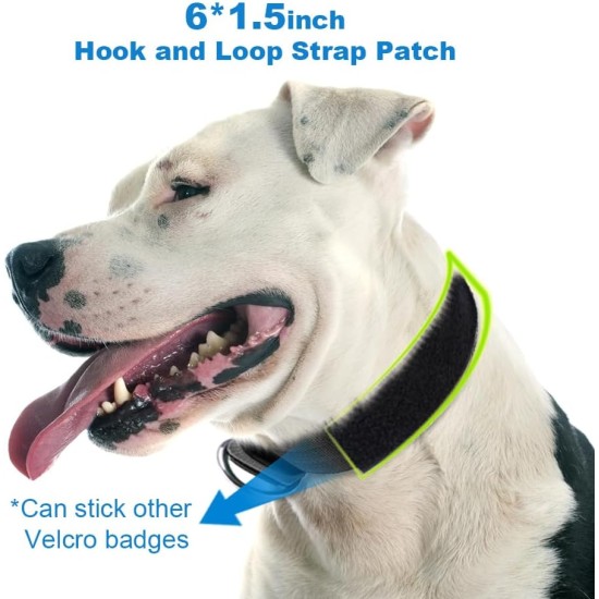 TSPRO Tactical Dog Collar, Robust Collar for Dogs with Metal Buckle Closure, 3.3 cm Wide, Adjustable and Thick for Small Dogs (Geometric S) TSPRO Tactical Dog Collar, Robust Collar for Dogs with Metal Buckle Closure, 3.3 cm Wide, Adjustable and Thick for Small Dogs (Geometric S)