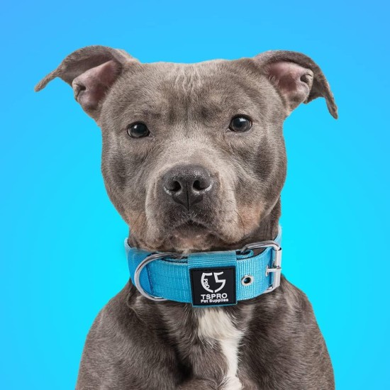 TSPRO Tactical Dog Collar, Robust Collar for Dogs with Metal Buckle Closure, 3.3 cm Wide, Adjustable and Thick for Small Dogs (Geometric S) TSPRO Tactical Dog Collar, Robust Collar for Dogs with Metal Buckle Closure, 3.3 cm Wide, Adjustable and Thick for Small Dogs (Geometric S)