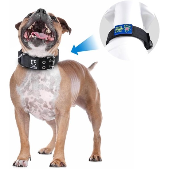 TSPRO Tactical Dog Collar, Robust Collar for Dogs with Metal Buckle Closure, 3.3 cm Wide, Adjustable and Thick for Small Dogs (Geometric S) TSPRO Tactical Dog Collar, Robust Collar for Dogs with Metal Buckle Closure, 3.3 cm Wide, Adjustable and Thick for Small Dogs (Geometric S)
