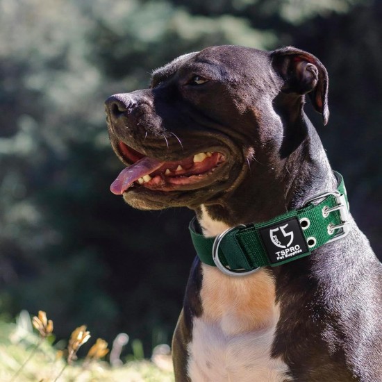 TSPRO Tactical Dog Collar, Robust Collar for Dogs with Metal Buckle Closure, 3.3 cm Wide, Adjustable and Thick for Small Dogs (Geometric S) TSPRO Tactical Dog Collar, Robust Collar for Dogs with Metal Buckle Closure, 3.3 cm Wide, Adjustable and Thick for Small Dogs (Geometric S)
