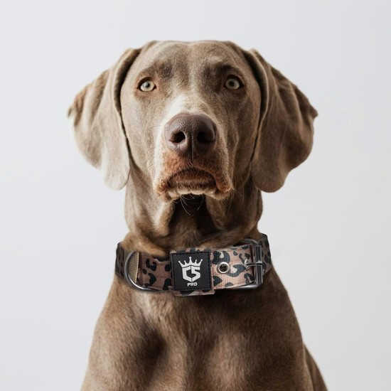 TSPRO Tactical Dog Collar, Robust Collar for Dogs with Metal Buckle Closure, 3.3 cm Wide, Adjustable and Thick for Small Dogs (Geometric S) TSPRO Tactical Dog Collar, Robust Collar for Dogs with Metal Buckle Closure, 3.3 cm Wide, Adjustable and Thick for Small Dogs (Geometric S)