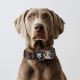TSPRO Tactical Dog Collar, Robust Collar for Dogs with Metal Buckle Closure, 3.3 cm Wide, Adjustable and Thick for Small Dogs (Geometric S) TSPRO Tactical Dog Collar, Robust Collar for Dogs with Metal Buckle Closure, 3.3 cm Wide, Adjustable and Thick for Small Dogs (Geometric S)
