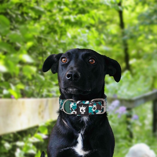 TSPRO Tactical Dog Collar, Robust Collar for Dogs with Metal Buckle Closure, 3.3 cm Wide, Adjustable and Thick for Small Dogs (Geometric S) TSPRO Tactical Dog Collar, Robust Collar for Dogs with Metal Buckle Closure, 3.3 cm Wide, Adjustable and Thick for Small Dogs (Geometric S)