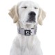 TSPRO Tactical Dog Collar, Robust Collar for Dogs with Metal Buckle Closure, 3.3 cm Wide, Adjustable and Thick for Small Dogs (Geometric S) TSPRO Tactical Dog Collar, Robust Collar for Dogs with Metal Buckle Closure, 3.3 cm Wide, Adjustable and Thick for Small Dogs (Geometric S)