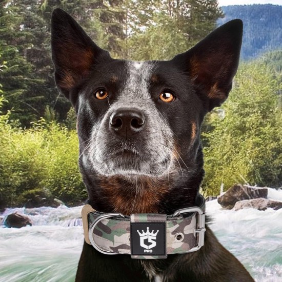 TSPRO Tactical Dog Collar, Robust Collar for Dogs with Metal Buckle Closure, 3.3 cm Wide, Adjustable and Thick for Small Dogs (Geometric S) TSPRO Tactical Dog Collar, Robust Collar for Dogs with Metal Buckle Closure, 3.3 cm Wide, Adjustable and Thick for Small Dogs (Geometric S)