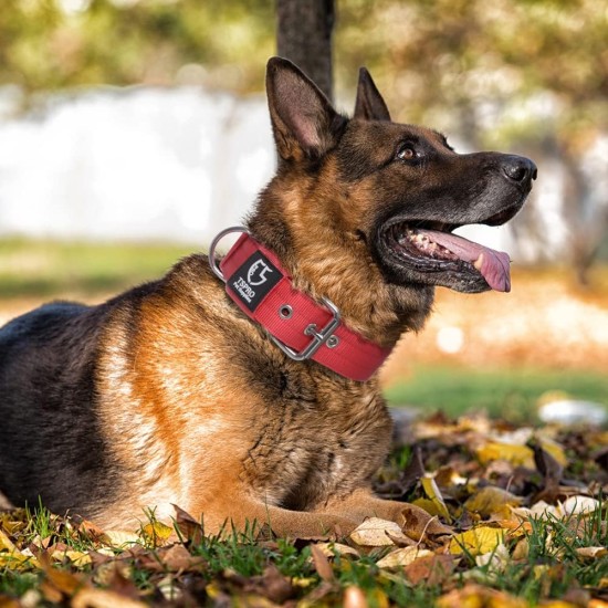 TSPRO Tactical Dog Collar, Robust Collar for Dogs with Metal Buckle Closure, 3.3 cm Wide, Adjustable and Thick for Small Dogs (Geometric S) TSPRO Tactical Dog Collar, Robust Collar for Dogs with Metal Buckle Closure, 3.3 cm Wide, Adjustable and Thick for Small Dogs (Geometric S)