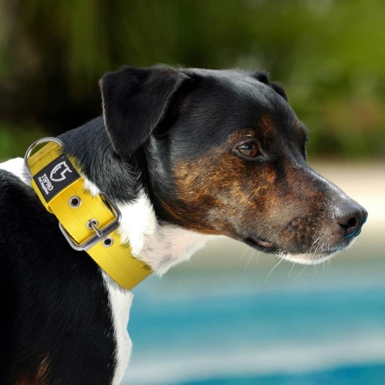 TSPRO Tactical Dog Collar, Robust Collar for Dogs with Metal Buckle Closure, 3.3 cm Wide, Adjustable and Thick for Small Dogs (Geometric S) TSPRO Tactical Dog Collar, Robust Collar for Dogs with Metal Buckle Closure, 3.3 cm Wide, Adjustable and Thick for Small Dogs (Geometric S)