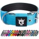 TSPRO Tactical Dog Collar, Robust Collar for Dogs with Metal Buckle Closure, 3.3 cm Wide, Adjustable and Thick for Small Dogs (Geometric S) TSPRO Tactical Dog Collar, Robust Collar for Dogs with Metal Buckle Closure, 3.3 cm Wide, Adjustable and Thick for Small Dogs (Geometric S)