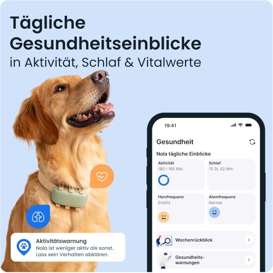 Tractive XL GPS Tracker for Dogs | Recommended by Martin Rütter | Up to 1 Month Battery | Worldwide Live Tracking | Away Running Alarm | Health Warnings & Activity Tracking | Multiple Test Winner Tractive XL GPS Tracker for Dogs | Recommended by Martin Rütter | Up to 1 Month Battery | Worldwide Live Tracking | Away Running Alarm | Health Warnings & Activity Tracking | Multiple Test Winner