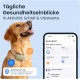 Tractive XL GPS Tracker for Dogs | Recommended by Martin Rütter | Up to 1 Month Battery | Worldwide Live Tracking | Away Running Alarm | Health Warnings & Activity Tracking | Multiple Test Winner Tractive XL GPS Tracker for Dogs | Recommended by Martin Rütter | Up to 1 Month Battery | Worldwide Live Tracking | Away Running Alarm | Health Warnings & Activity Tracking | Multiple Test Winner