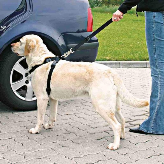 Trixie Car Safety Harness, Medium, Black Trixie Car Safety Harness, Medium, Black