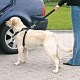 Trixie Car Safety Harness, Medium, Black Trixie Car Safety Harness, Medium, Black